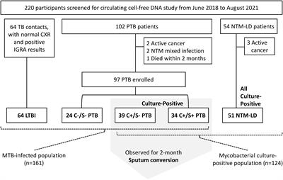 Circulating mitochondrial cell-free DNA dynamics in patients with mycobacterial pulmonary infections: Potential for a novel biomarker of disease